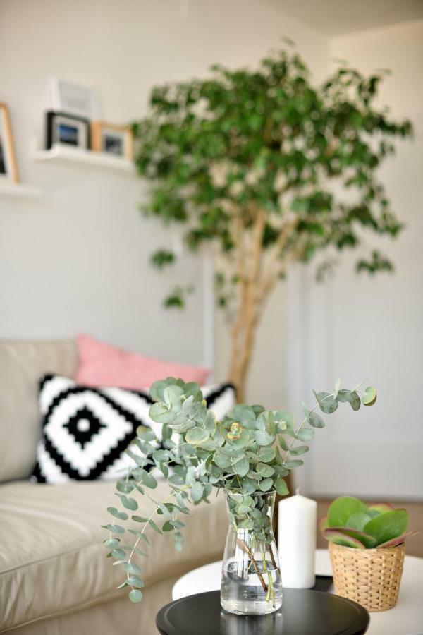 Apartment Myhome Ζάγκρεμπ Εξωτερικό φωτογραφία